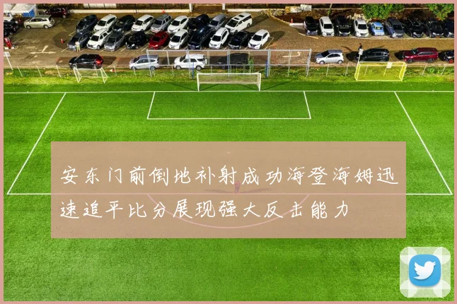 安东门前倒地补射成功海登海姆迅速追平比分展现强大反击能力