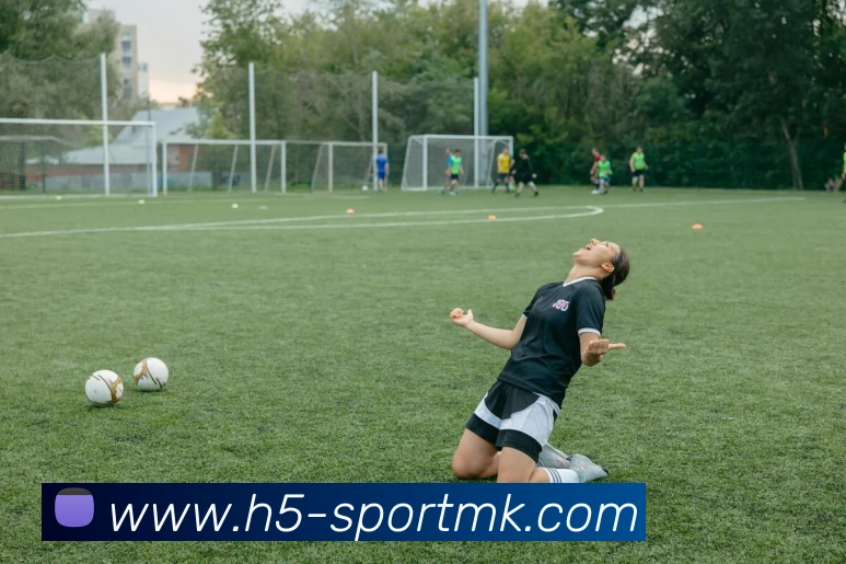 MK体育APP 高清赛事图